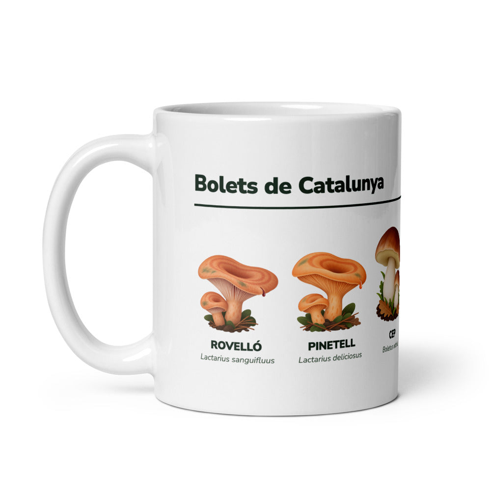 «Bolets de Catalunya»