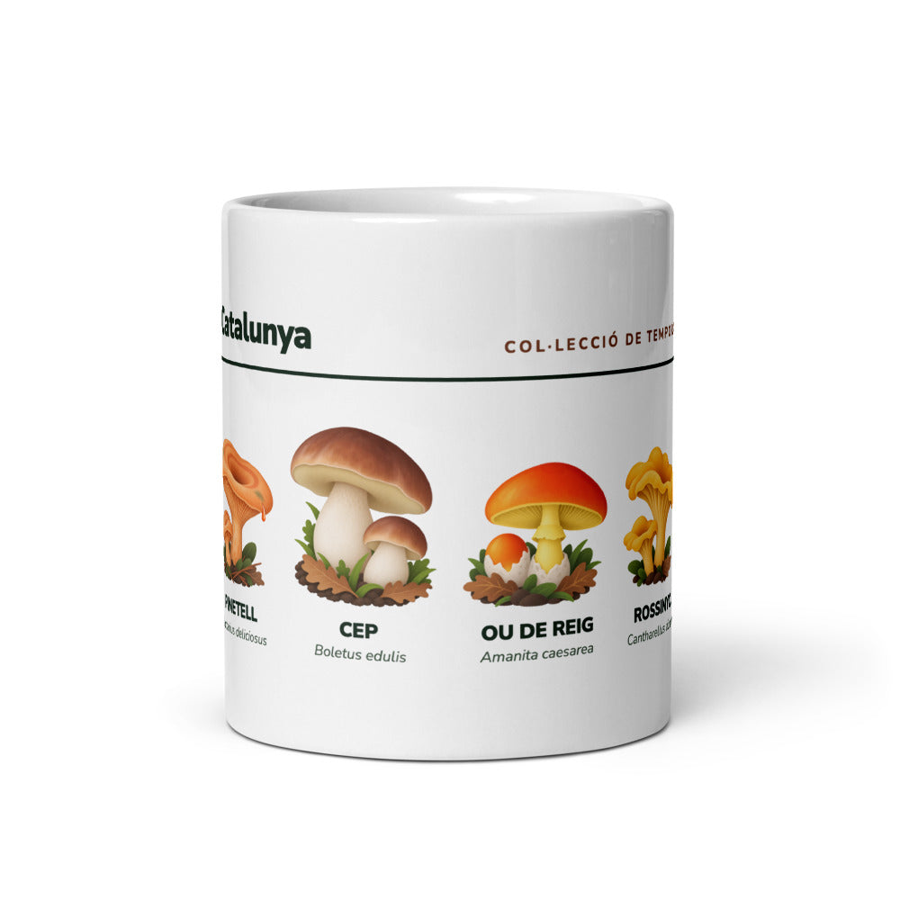 «Bolets de Catalunya»
