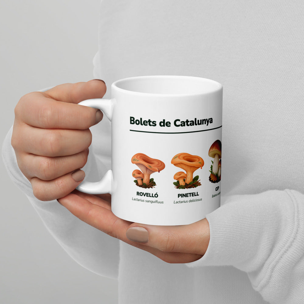 «Bolets de Catalunya»